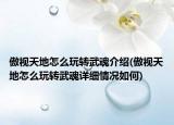 傲視天地怎么玩轉(zhuǎn)武魂介紹(傲視天地怎么玩轉(zhuǎn)武魂詳細(xì)情況如何)
