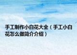 手工制作小白花大全（手工小白花怎么做簡介介紹）
