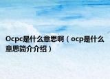 Ocpc是什么意思?。╫cp是什么意思簡介介紹）
