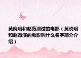 黃曉明和趙薇演過的電影（黃曉明和趙薇演的電影叫什么名字簡介介紹）