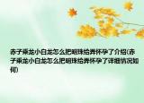 赤子乘龍小白龍?jiān)趺窗衙髦榻o弄懷孕了介紹(赤子乘龍小白龍?jiān)趺窗衙髦榻o弄懷孕了詳細(xì)情況如何)