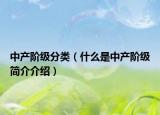 中產階級分類（什么是中產階級簡介介紹）