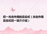 初一光合作用的反應(yīng)式（光合作用反應(yīng)式初一簡介介紹）