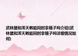 武林盟和渾天教能同時拿箱子嗎介紹(武林盟和渾天教能同時拿箱子嗎詳細情況如何)