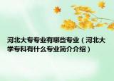 河北大專專業(yè)有哪些專業(yè)（河北大學(xué)?？朴惺裁磳I(yè)簡介介紹）
