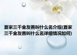 夏家三千金友善叫什么名介紹(夏家三千金友善叫什么名詳細(xì)情況如何)