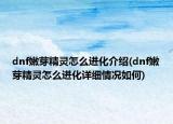 dnf嫩芽精靈怎么進(jìn)化介紹(dnf嫩芽精靈怎么進(jìn)化詳細(xì)情況如何)