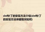dnf補(bǔ)丁的安裝方法介紹(dnf補(bǔ)丁的安裝方法詳細(xì)情況如何)