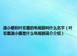 溫小暖和葉非墨的電視劇叫什么名字（葉非墨溫小暖是什么電視劇簡(jiǎn)介介紹）