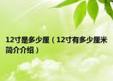 12寸是多少厘（12寸有多少厘米簡介介紹）