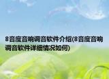 8音度音響調(diào)音軟件介紹(8音度音響調(diào)音軟件詳細情況如何)