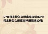 DNF領(lǐng)主粉怎么爆率高介紹(DNF領(lǐng)主粉怎么爆率高詳細(xì)情況如何)