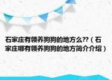 石家莊有領(lǐng)養(yǎng)狗狗的地方么??（石家莊哪有領(lǐng)養(yǎng)狗狗的地方簡(jiǎn)介介紹）