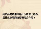 釣魚的網(wǎng)絡(luò)用語是什么意思（釣魚是什么意思網(wǎng)絡(luò)用語簡介介紹）