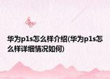華為p1s怎么樣介紹(華為p1s怎么樣詳細情況如何)