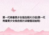 第一代青春美少女組合照片介紹(第一代青春美少女組合照片詳細(xì)情況如何)