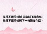 吳質(zhì)不眠倚桂樹 露腳斜飛濕寒兔（吳質(zhì)不眠倚桂樹下一句簡(jiǎn)介介紹）