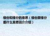 緣份和緣分的意思（緣份跟緣分是什么意思簡(jiǎn)介介紹）
