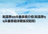 趙露思qq頭像鼻祖介紹(趙露思qq頭像鼻祖詳細(xì)情況如何)
