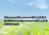 評價remark和comment有什么區(qū)別介紹(評價remark和comment有什么區(qū)別詳細情況如何)