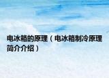 電冰箱的原理（電冰箱制冷原理簡(jiǎn)介介紹）