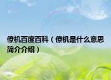 僚機百度百科（僚機是什么意思簡介介紹）
