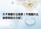 大干潮是什么意思（干潮是什么意思啊簡介介紹）