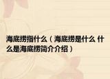 海底撈指什么（海底撈是什么 什么是海底撈簡介介紹）