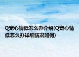 Q寵心情低怎么辦介紹(Q寵心情低怎么辦詳細情況如何)