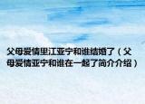 父母愛(ài)情里江亞寧和誰(shuí)結(jié)婚了（父母愛(ài)情亞寧和誰(shuí)在一起了簡(jiǎn)介介紹）