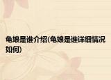 龜娘是誰(shuí)介紹(龜娘是誰(shuí)詳細(xì)情況如何)