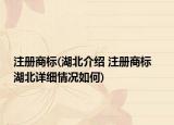 注冊(cè)商標(biāo)(湖北介紹 注冊(cè)商標(biāo)   湖北詳細(xì)情況如何)