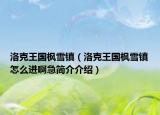 洛克王國楓雪鎮(zhèn)（洛克王國楓雪鎮(zhèn)怎么進啊急簡介介紹）