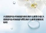 大話西游3法術(shù)熟練度與轉(zhuǎn)生有什么聯(lián)系介紹(大話西游3法術(shù)熟練度與轉(zhuǎn)生有什么聯(lián)系詳細(xì)情況如何)