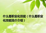 什么是職業(yè)化技能（什么是職業(yè)化技能簡介介紹）