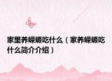 家里養(yǎng)蠑螈吃什么（家養(yǎng)蠑螈吃什么簡(jiǎn)介介紹）