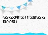 馬牙石又叫什么（什么是馬牙石簡介介紹）