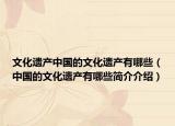 文化遺產(chǎn)中國(guó)的文化遺產(chǎn)有哪些（中國(guó)的文化遺產(chǎn)有哪些簡(jiǎn)介介紹）