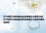 遼寧省營口市發(fā)現(xiàn)的龍骨到底是怎么回事介紹(遼寧省營口市發(fā)現(xiàn)的龍骨到底是怎么回事詳細情況如何)