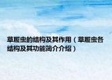 草履蟲的結(jié)構(gòu)及其作用（草履蟲各結(jié)構(gòu)及其功能簡介介紹）