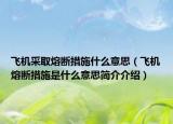 飛機采取熔斷措施什么意思（飛機熔斷措施是什么意思簡介介紹）