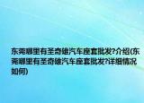 東莞哪里有圣奇雄汽車座套批發(fā)?介紹(東莞哪里有圣奇雄汽車座套批發(fā)?詳細(xì)情況如何)