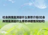 社會輿情監(jiān)測是什么意思介紹(社會輿情監(jiān)測是什么意思詳細(xì)情況如何)