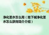 凈化圣水怎么用（地下城凈化圣水怎么獲得簡(jiǎn)介介紹）