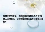 我黑天突然看見一個樹墩像財神怎么辦介紹(我黑天突然看見一個樹墩像財神怎么辦詳細情況如何)