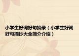 小學(xué)生好詞好句摘錄（小學(xué)生好詞好句摘抄大全簡介介紹）