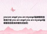 you(are angel you are myangel是哪首歌的歌詞介紹 you are angel you are myangel是哪首歌的歌詞詳細(xì)情況如何)