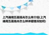 上汽通用五菱揚(yáng)光怎么樣介紹(上汽通用五菱揚(yáng)光怎么樣詳細(xì)情況如何)