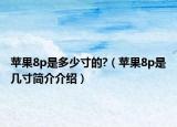 蘋果8p是多少寸的?（蘋果8p是幾寸簡介介紹）