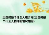 王自健是個什么人物介紹(王自健是個什么人物詳細情況如何)